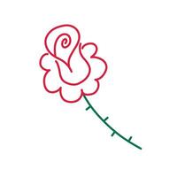 Rose hand drawn single icon. Color line illustration isolated on white background. vector