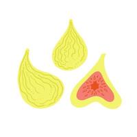 Green figs whole ripe fruits and slice. Flat illustration isolated on white. vector