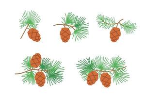 Pine branches with cones. Flat color illustrations set isolated on white background. vector