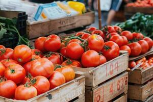 Organic tomatoes on the market. photo
