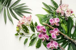 Floral arrangement with tropical leaves and orchids. Tropical flower decor on tree branch on white background. photo