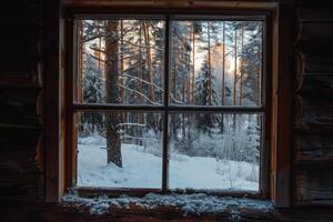 Trees seen through window photo