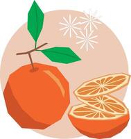 Illustration, Abstract orange fruit with leaf on soft orange circle background. vector