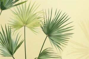 Image of palm tree leaves photo