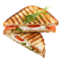 Cheese sandwich ,Panini Breakfast sandwich Omelette AI-Generative png