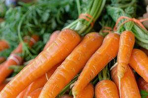 Organic carrot on the market. photo
