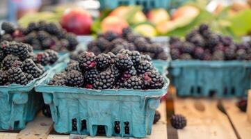 Organic blackberries on the market. photo