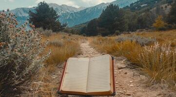 Serene mountain landscape reading spot. photo