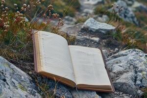 Serene mountain landscape reading spot. photo