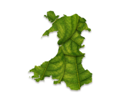 Gales mapa hecho de verde hojas, concepto ecología mapa verde hoja png