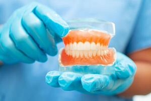 Denture, dentist holding dental teeth model to study and treat in hospital. photo