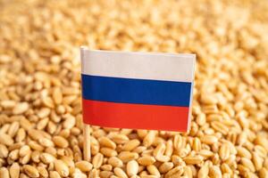 Grains wheat with Russia flag, trade export and economy concept. photo