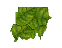 Sudan map made of green leaves ecology concept png