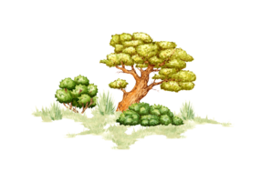 vattenfärg illustration med element av naturlig landskap. skildrar en skog vildmark med frodig grön gräs, gammal lind träd och omgivande buskar. idealisk för skapande kompositioner på skog teman png