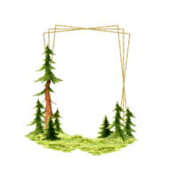 Watercolor illustration geometric frame element of natural landscape. Forest wildlife scene with green grass, coniferous trees, spruce, pine. For composing compositions on the theme of forest, tourism png
