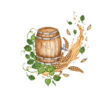 Watercolor illustration of a wooden barrel with beer splashes of hops, ears wheat for beer. Isolated from the background. Harvest festival, Oktoberfest beer festival Suitable for interior design, menu png