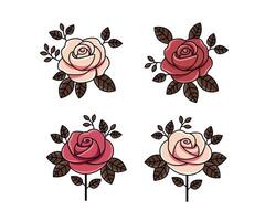 hand drawn roses flower collection vector