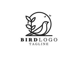 pájaro logo diseño plantilla vecto vector
