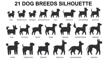 Collection of 21 Dog Breeds silhouette. Side view. illustration isolated on white background vector