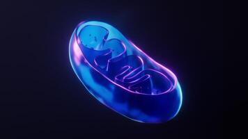 Mitochondria with dark neon light effect, 3d rendering. video