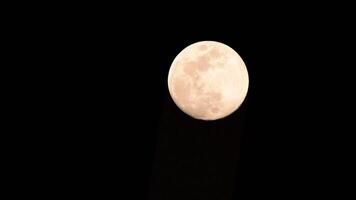 Moon Timelapse, Stock time lapse - Full moon rise in dark nature sky, night time. Full moon disk time lapse with moon light up in night dark black sky. moon timelapse video