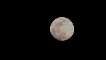 Luna lasso di tempo, azione tempo periodo - pieno Luna salire nel buio natura cielo, notte volta. pieno Luna disco tempo periodo con Luna leggero su nel notte buio nero cielo. Luna lasso di tempo video