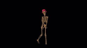 scheletro gatto danza animazione video