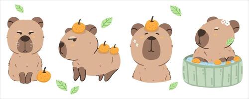 Capybara and orange illustrations on white background vector