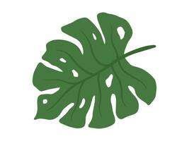 Monstera Green Leaves Background Illustration vector