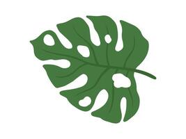 Monstera Green Leaf Background Illustration vector