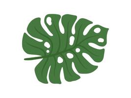 tropical verde hojas antecedentes ilustración vector