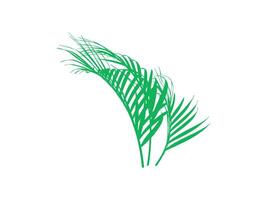 Palm Green Leaves Background Illustration vector