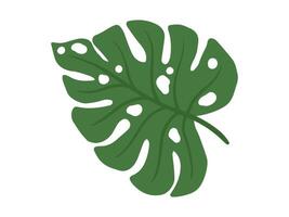 Monstera Green Leaf Background Illustration vector