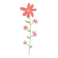 Cute flower isolated on white background vector