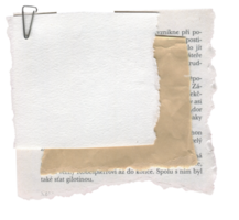 årgång klippbok notera papper tom. rev papper med gem och trasig kant. isolerat på transparent bakgrund png