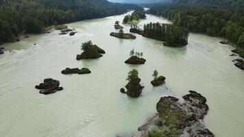 Aerial. Katun River with many small islands flows in the mountain valley. Altai video