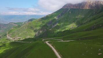 aéreo ver de un hermosa verde Valle y la carretera en el montañas video