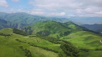 Aerial view of a bird of prey flying over an alpine green mountain valley video