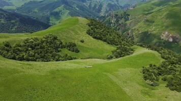 Aerial view of a bird of prey flying over an alpine green mountain valley video