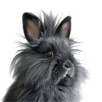 cerca arriba retrato de un de conejo rostro. generado ai png