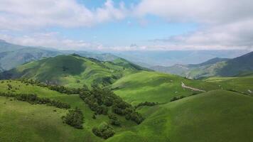 aéreo Visão do uma pássaro do presa vôo sobre a alpino verde montanha vale video