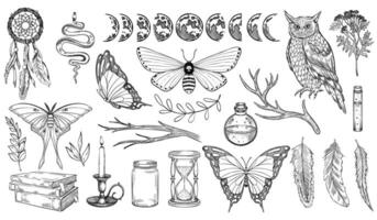 Mystical forest set. illustration of owl and moths. Drawing of Witch Magic collection with butterfly, moon faces and dreamcatcher in linear style painted by black inks. Sketch of poison vector