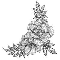 Rose Flowers illustration in outline style. Hand drawn floral drawing painted by black inks for greeting cards or wedding invitations. Botanical sketch in line art style. Monochrome bouquet vector