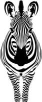 black silhouette of a zebra without background vector