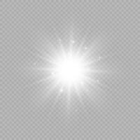 Light effect of lens flares vector
