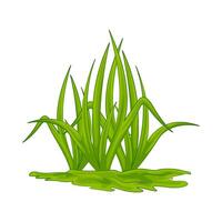Illustration of grass vector