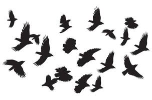 flying birds silhouette set flying birds icon set Set of flying birds silhouettes vector