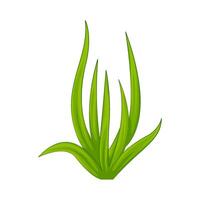 Illustration of grass vector