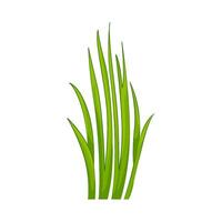 Illustration of grass vector