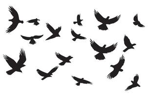 flying birds silhouette set flying birds icon set Set of flying birds silhouettes vector